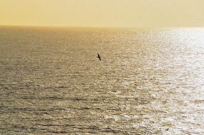 IMAGE: Alone, alone, all, all alone! / Alone on a wide, wide sea! //