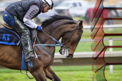 IMAGE: Actors are the jockeys of literature. Others supply the horses, the plays, and we simply make them run.