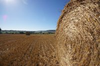IMAGE: Make hay while the sun shines.