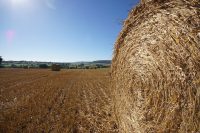 IMAGE: Make hay while the sun shines.