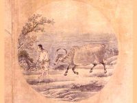 IMAGE: 5. Taming the Bull. [Taming the Ox.]