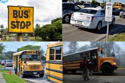 IMAGE: Sally Brown: "Who are all those people driving by in those cars?" / Charlie Brown: "Those are people going to work.." / Sally: "Work?" / Charlie: "They used to wait for the school bus like we're doing... Now they have to go to work every day for the rest of their lives.." / Sally: "Good grief! Whose idea was that?" //