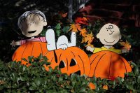 IMAGE: Linus Van Pelt: "I think you're afraid to be happy, Charlie Brown" "Don't you think happiness would be good for you?" / Charlie Brown: "I don't know..." "What are the side effects?" //
